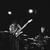 foxhollowband