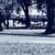 pmcgill19