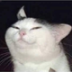 comradefloof