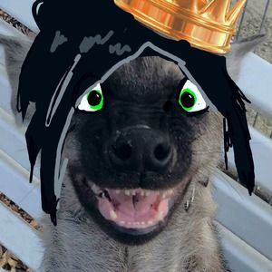 yeenking
