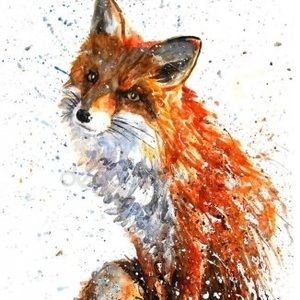 desert_fox