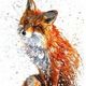 desert_fox