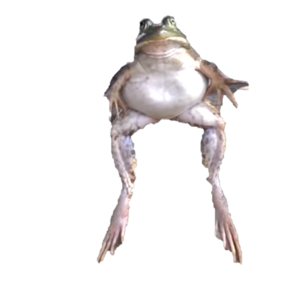 slochicki