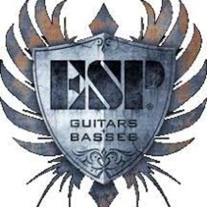 nemesisguitars