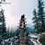 akos_fazekas
