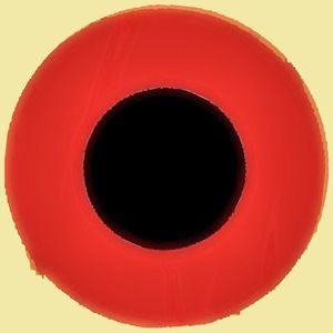 toroid