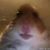 julio_vidana