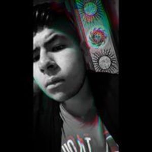 shdnhz