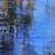 bluemonk82
