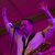 See how Martín Perna uses Apogee ONE USB Audio Interface
