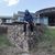 tristan_chavoya