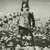 declann_shields