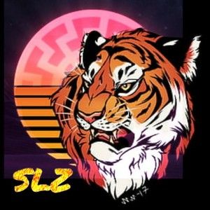 dsr