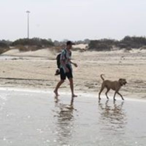 omer_wienner