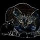 fuzzys_dead_mouse