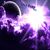 purple_fury