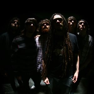 envydust