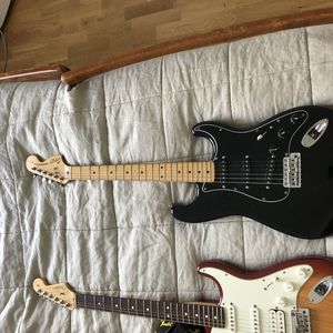arvele91