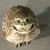 blindowl03