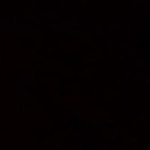 nick_winterland