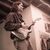 See how Josh DeMarco uses Fender Twin Custom 15