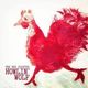 gallo_rojo
