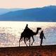 ezer_ben_simhon