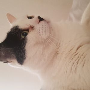 juliengb