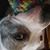 aly_mcnab