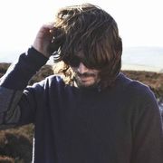 Bibio
