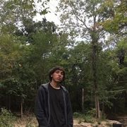 Leaf Beach