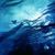 solarwind