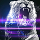 enterusernamehere