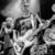 dino_flores