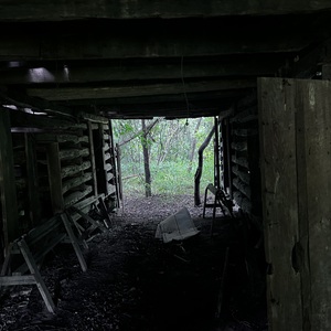 ambienthollow