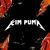 kim_puma