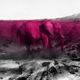 cedric_pink_hellephant