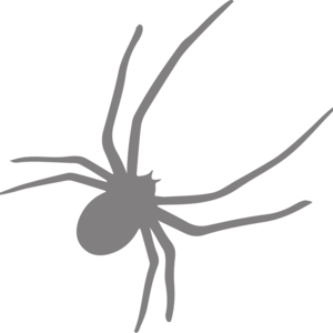 spiderbite