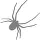 spiderbite