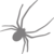 spiderbite