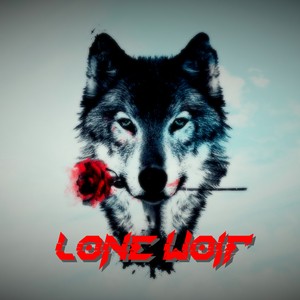 lonewolf713