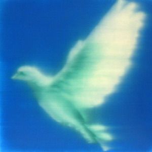 spiritoverride