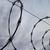 razorwire79