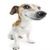 mandofenn