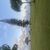 ian_harders