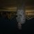 noah_arkade_delgado
