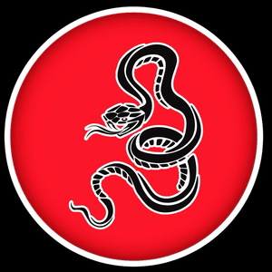 liquidlizards