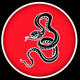 liquidlizards