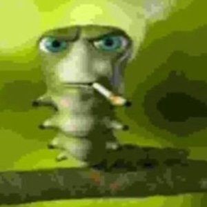 _nito0_