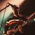 See how Ethan McCann uses Bare Knuckle Impulse Humbuckers